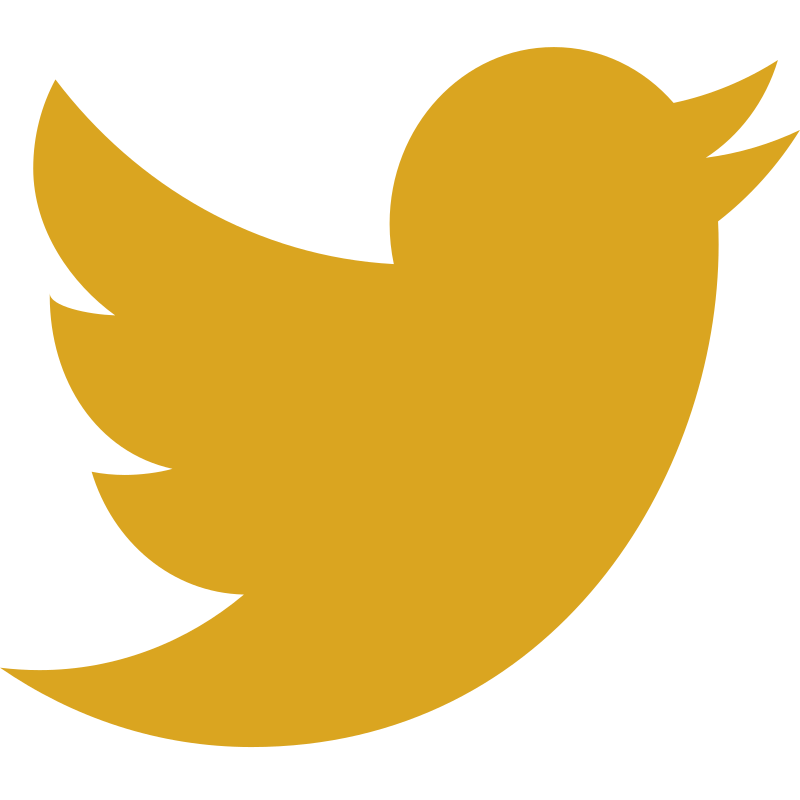 Twitter icon
